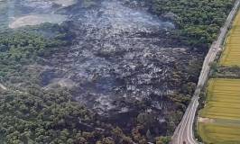 L’incendi de la Devesa del Saler torna a evidenciar les mancances en la política d’emergències de la Generalitat