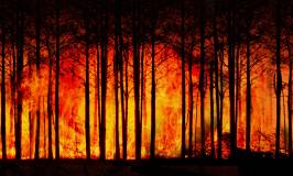 Intersindical Valenciana dona suport a un Pacte d’Estat davant l’Emergència Climàtica